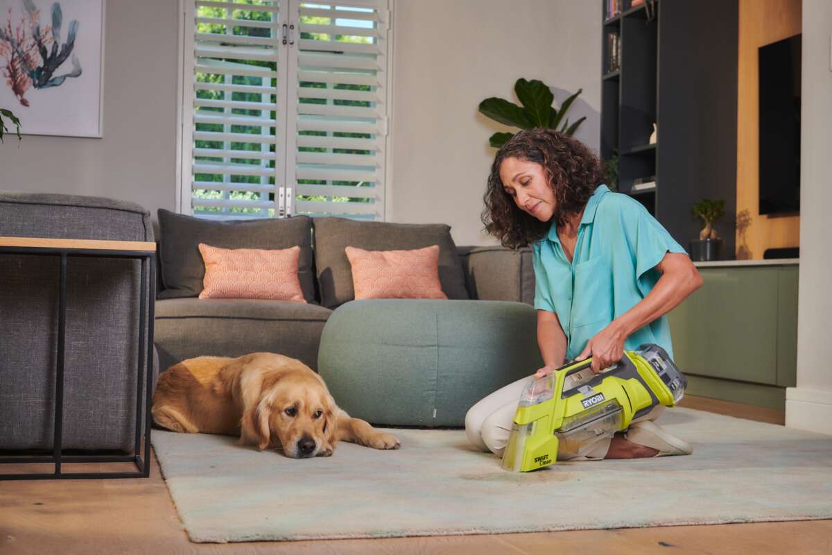 Ryobi ONE+ RDC18-0 flekkrenser u/ batteri