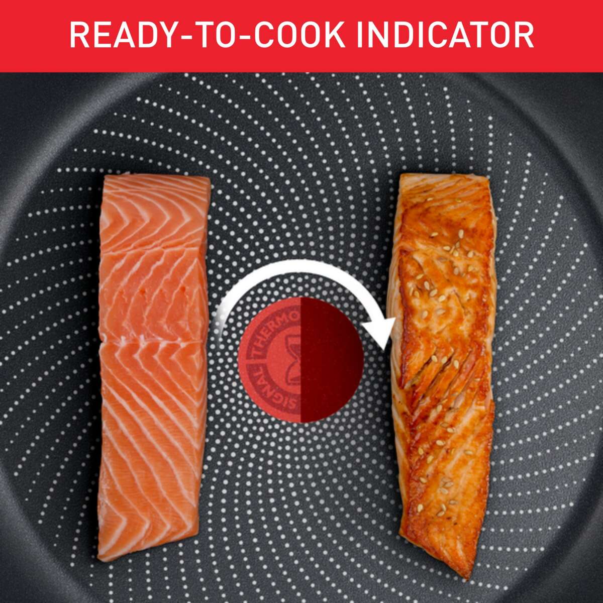 Tefal Duetto stekepanne