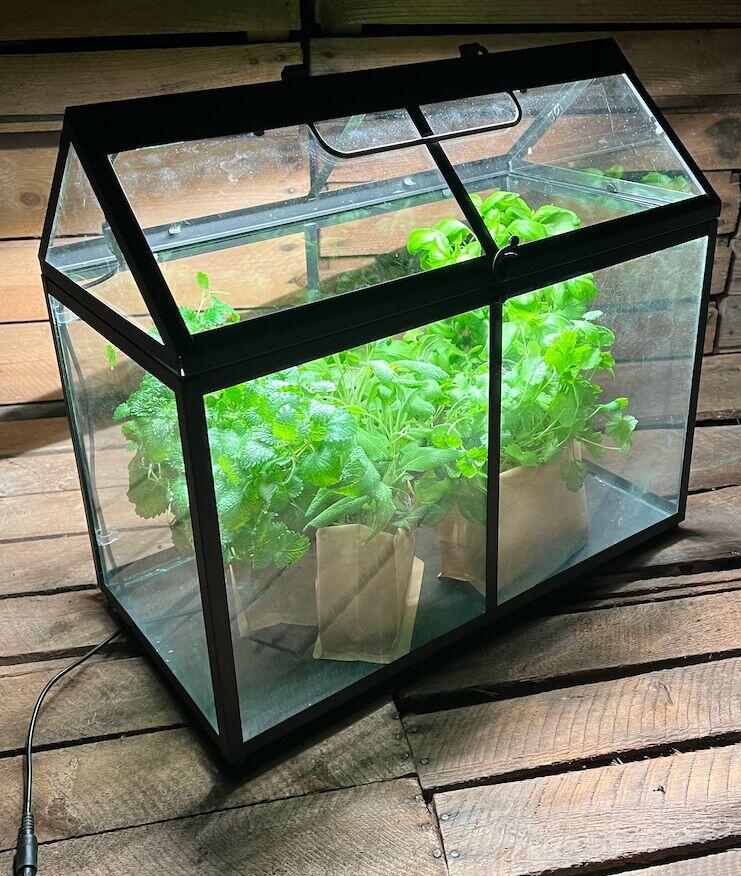 Minidrivhus med LED list