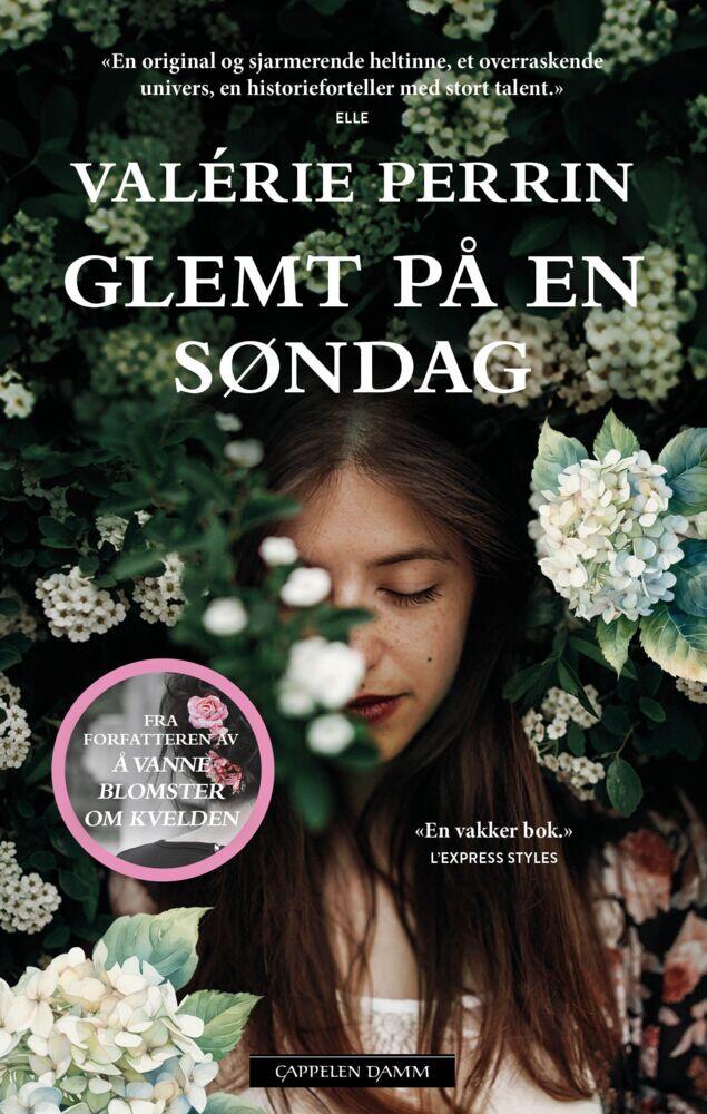 Valérie Perrin: Glemt på en søndag