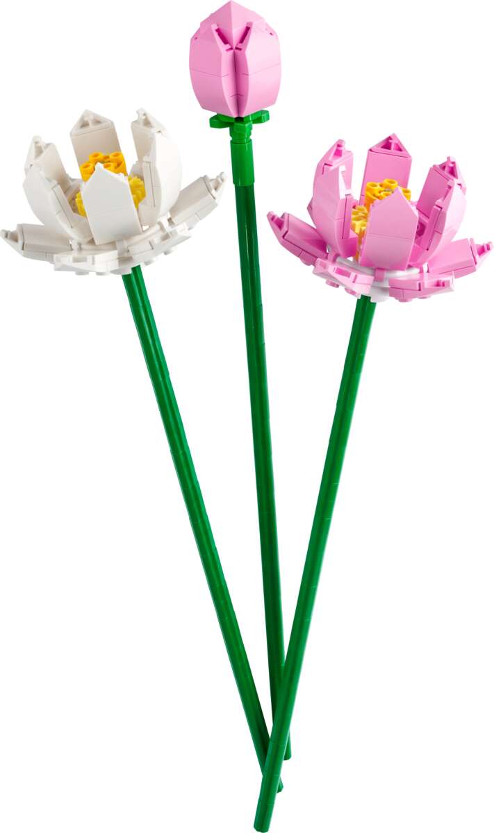 LEGO® Botanicals Lotusblomster 40647