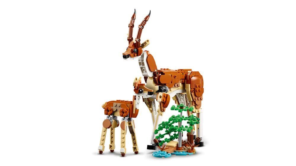 LEGO® Creator Ville dyr på safari. 3-i-1-sett 31150