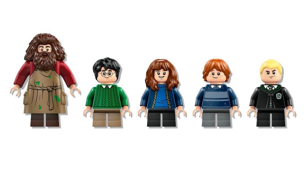 LEGO® Harry Potter™ Gygrids hytte: Et uventet besøk 76428