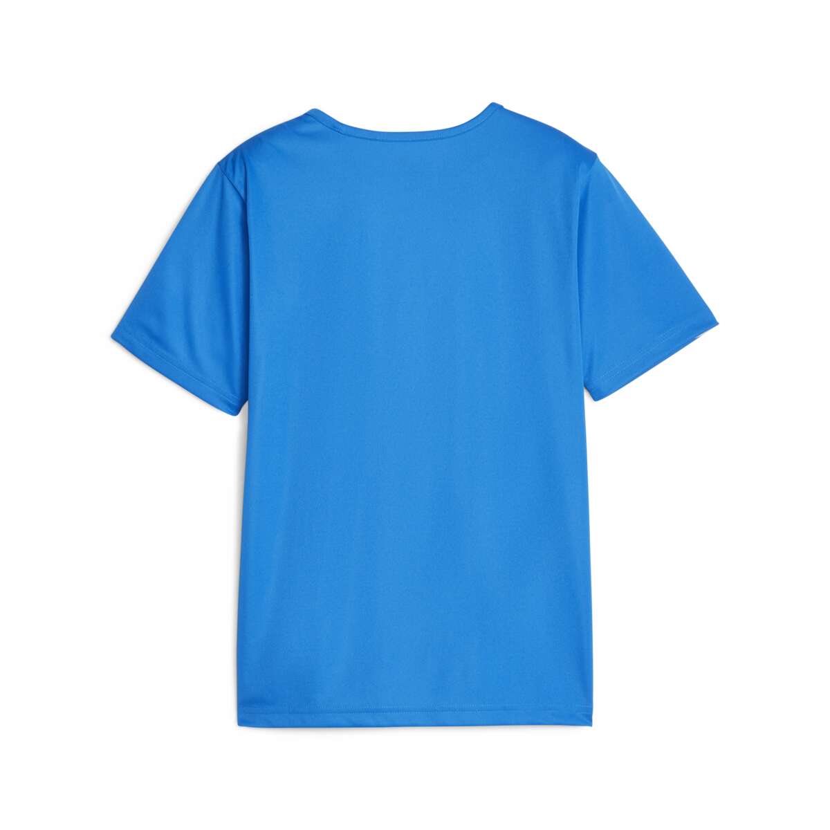 Puma Individualrise Graphic t-shirt herre