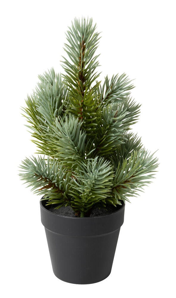 Kane kunstige planter