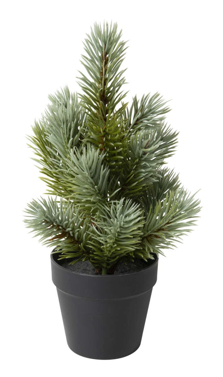 Kane kunstige planter