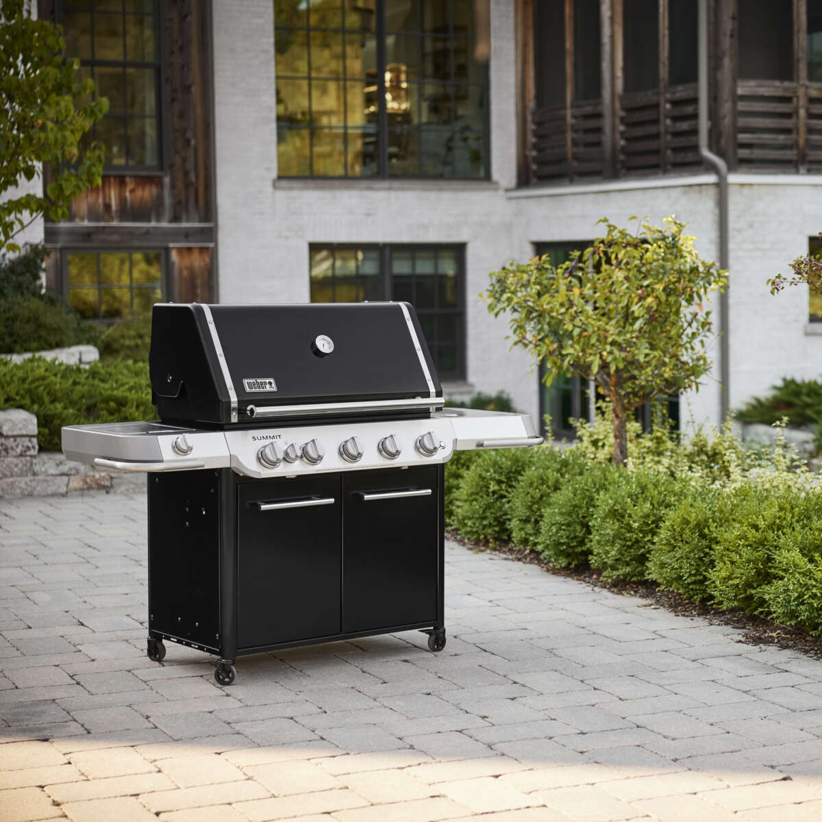 Weber Summit FS38 E gassgrill