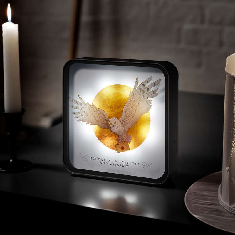 numskull® Official Harry Potter Hedwig Perspex lampe