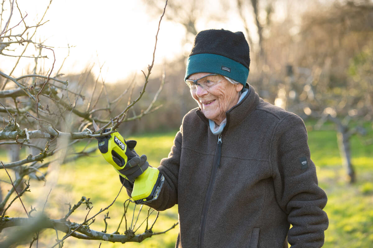 Ryobi RY18SCXA-0 grensaks u/batteri