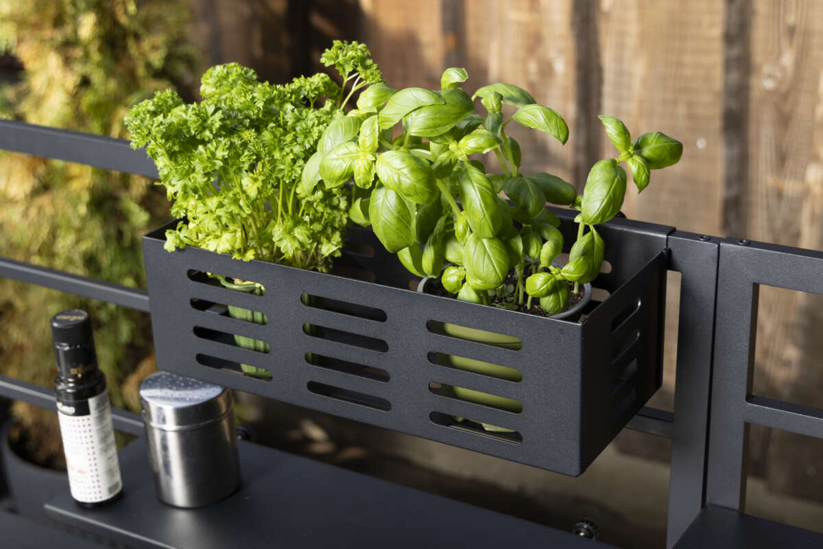 FCC utekjøkken henge kurv