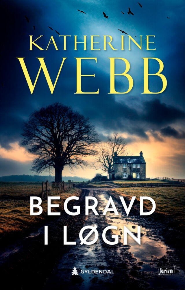 Webb, Katherine: Begravd i løgn