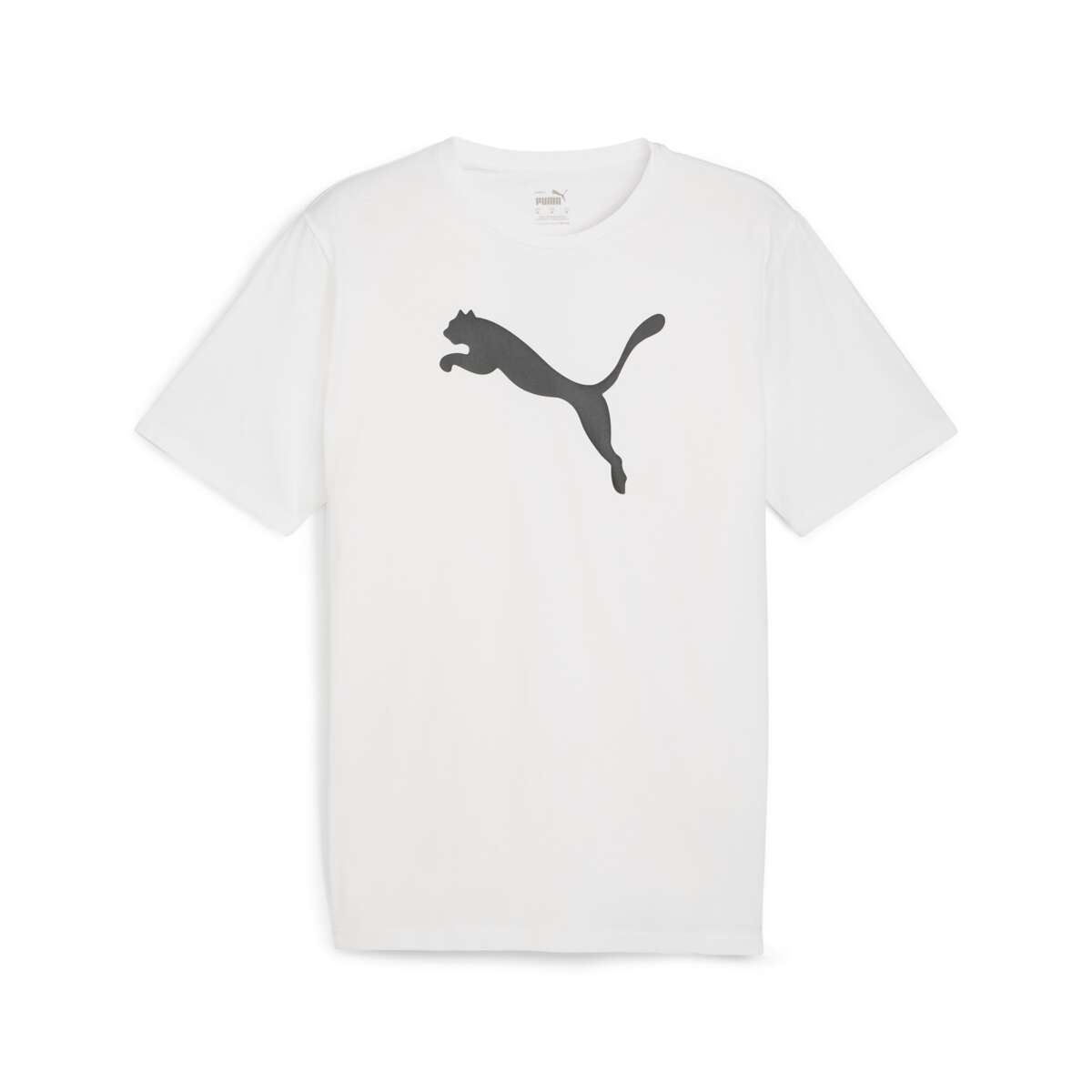 Puma TeamRISE logo herre