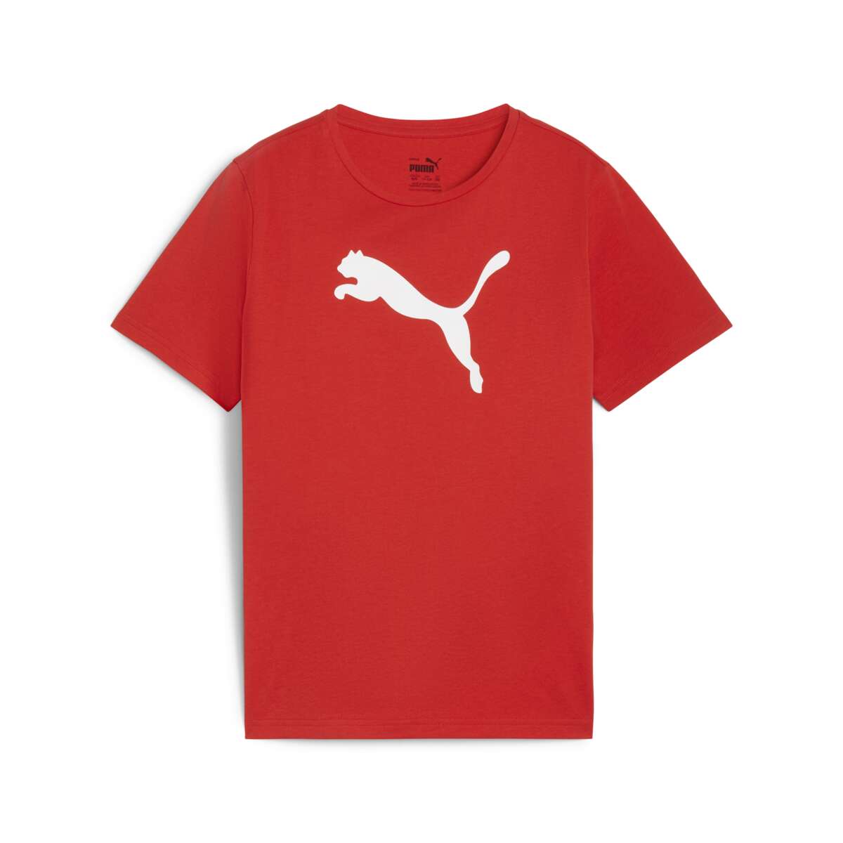 Puma TeamRISE logo junior