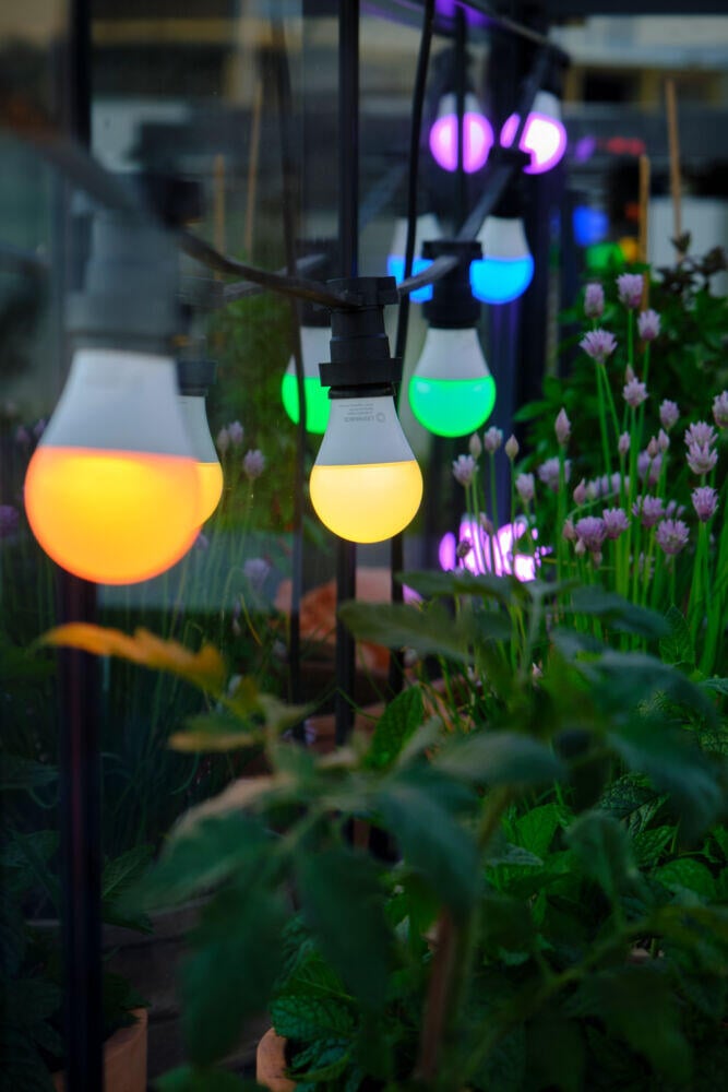 Ledvance Smart+ WiFi RGB classic pære