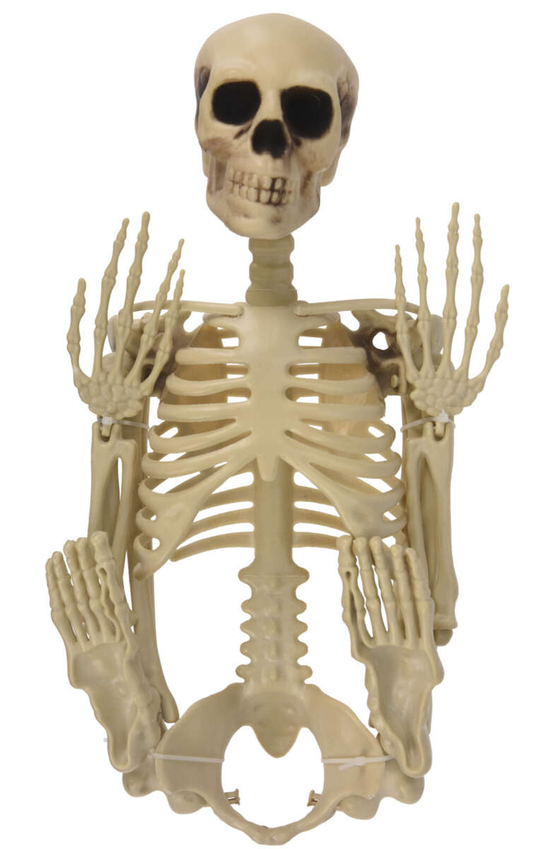 Halloween skjelett 90 cm