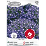Produkt miniatyrebild Nelson Garden frø Lobelia, Henge-, Saphir, blå