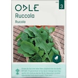 Produkt miniatyrebild Odle ruccola frø