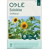 Produkt miniatyrebild Odle 'Uniflorus' solsikke frø
