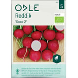 Produkt miniatyrebild Odle 'Saxa 2' reddik frø