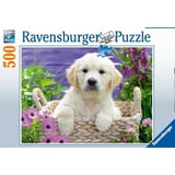 Produkt miniatyrebild Ravensburger Puzzle Sweet Golden Retriever puslepill