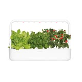 Produkt miniatyrebild Click&Grow Smart Garden 9 startsett