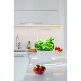 Produkt miniatyrebild Tregren kjøkkenhage/minidrivhus T3, hvit