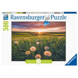 Produkt miniatyrebild Ravensburger Puzzle Dandelions In Sunset puslespill