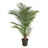 Produkt miniatyrebild Pilar palme