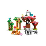 Produkt miniatyrebild LEGO® DUPLO® Town 10974 Ville dyr fra Asia