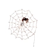 Produkt miniatyrebild Halloween spindelvev