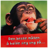 Produkt miniatyrebild Kort Sjimpanse