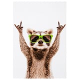 Produkt miniatyrebild Kort Vaskebjørn med solbriller