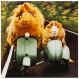 Produkt miniatyrebild Kort Hamster på scooter