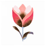 Produkt miniatyrebild Kort Tulipan