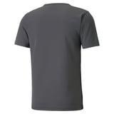 Produkt miniatyrebild Puma IndividualRISE trenings t-skjorte herre