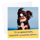 Produkt miniatyrebild Kort Hund med briller