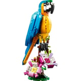 Produkt miniatyrebild LEGO® Creator Eksotisk papegøye 31136