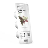 Produkt miniatyrebild Click&Grow Smart Garden refill Polka Dot 3-pk
