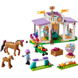 Produkt miniatyrebild LEGO® Friends Ridetrening 41746