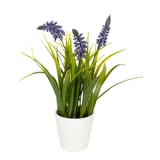Produkt miniatyrebild Lennea Lavendel