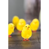 Produkt miniatyrebild Knøtte kyllinger, 6pk
