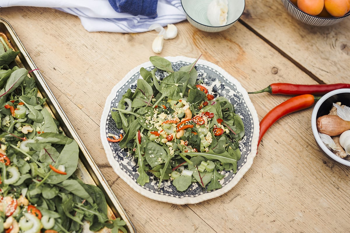 obs_grillartikkel_salat.jpg