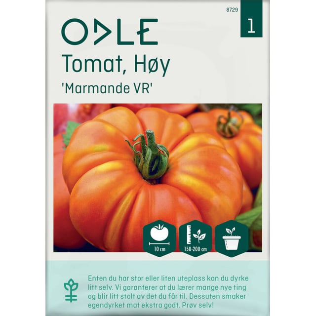Odle ' Marmande VR'  høy tomat frø