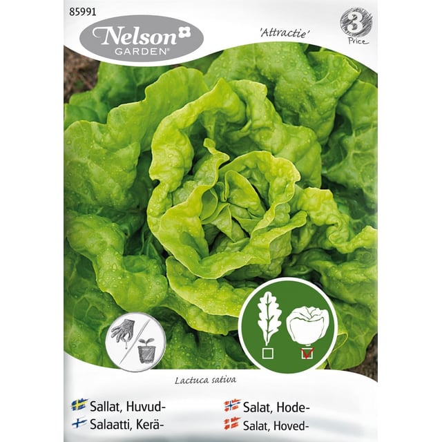 Nelson Garden frø Salat, Hode-, Attractie