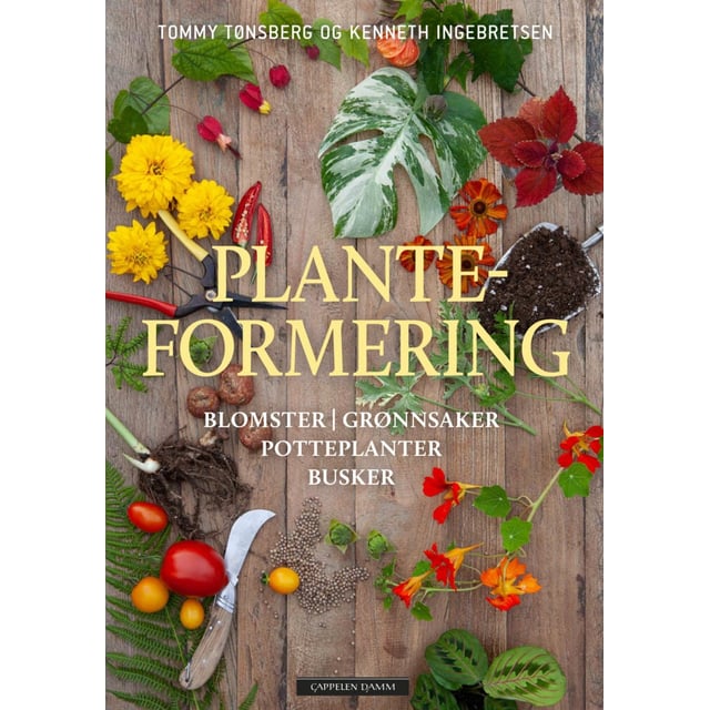 Planteformering - blomster, grønnsaker, potteplanter, busker