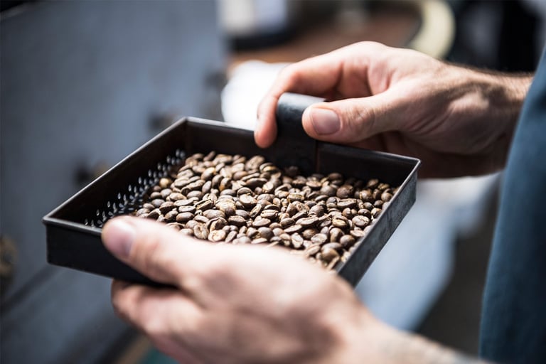 Dette bør du vite om kaffe