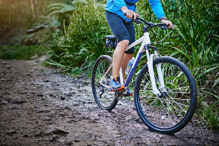 Forleng sykkelens levetid