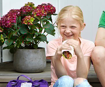 Wraps med biffstrimler