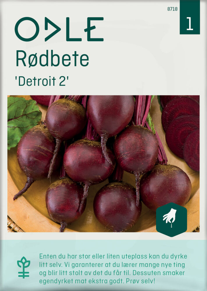 Produkt miniatyrebild Odle 'Detroit 2' rødbete frø