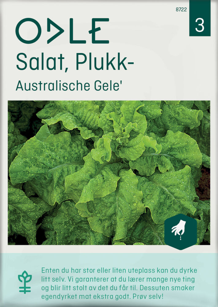 Produkt miniatyrebild Odle 'Australische Gele' plukk salat frø